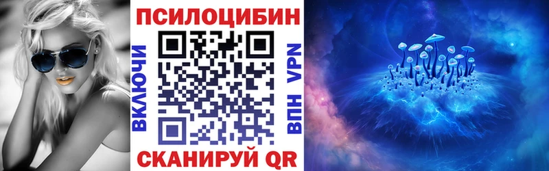 дарк нет наркотические препараты  МЕГА зеркало  Никольск  Псилоцибиновые грибы Psilocybine cubensis 